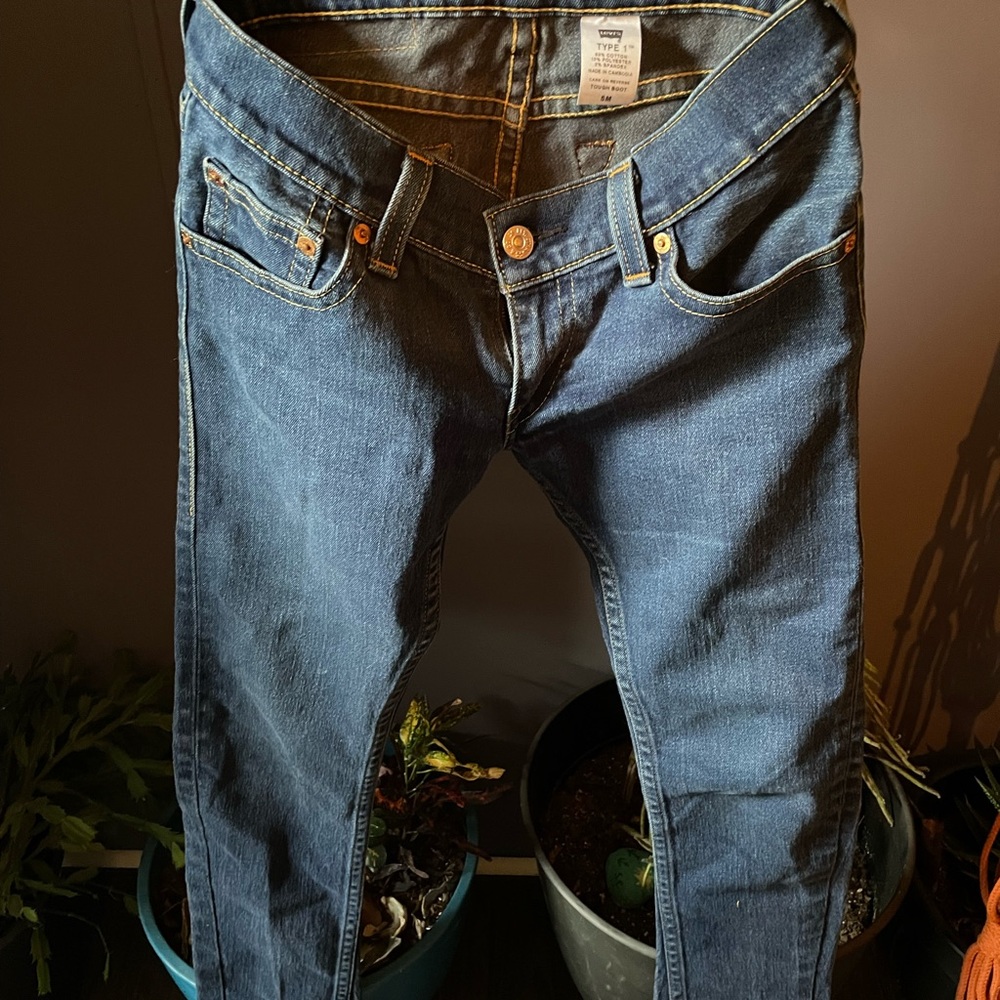 Levi Type 1 Tough Boot Women’s Jeans